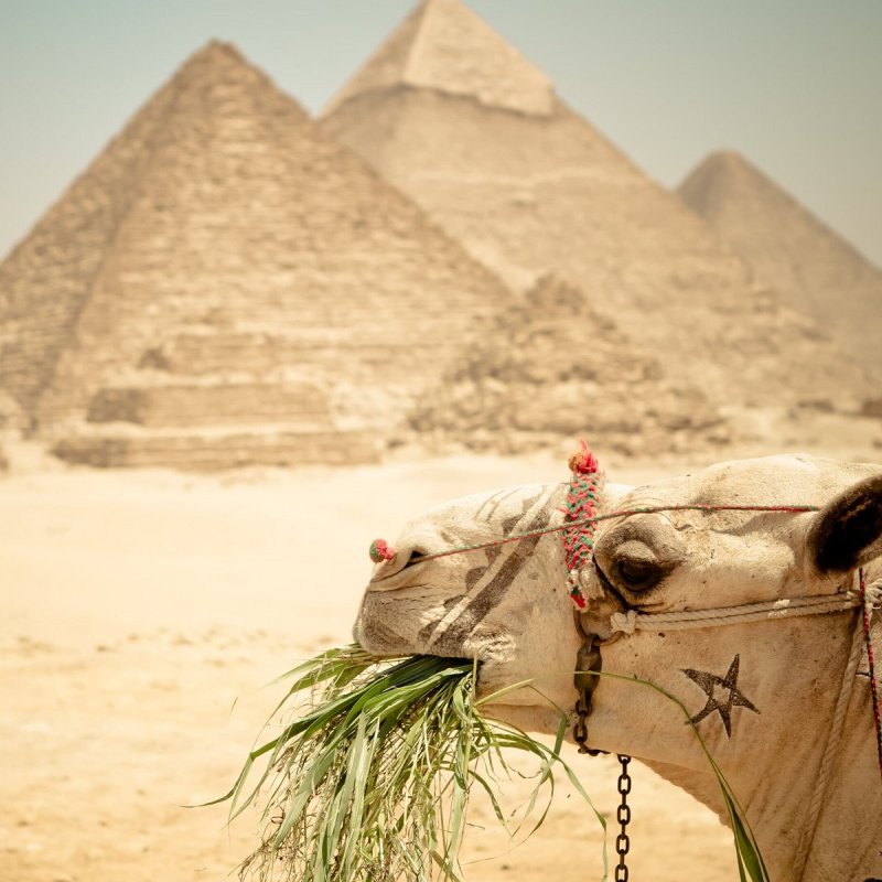 Каир пирамиды