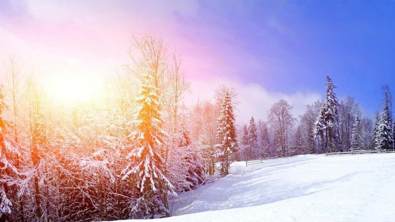 Красивая зима