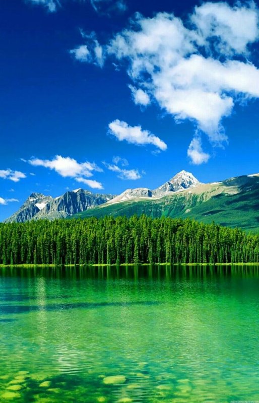 Красивый вид