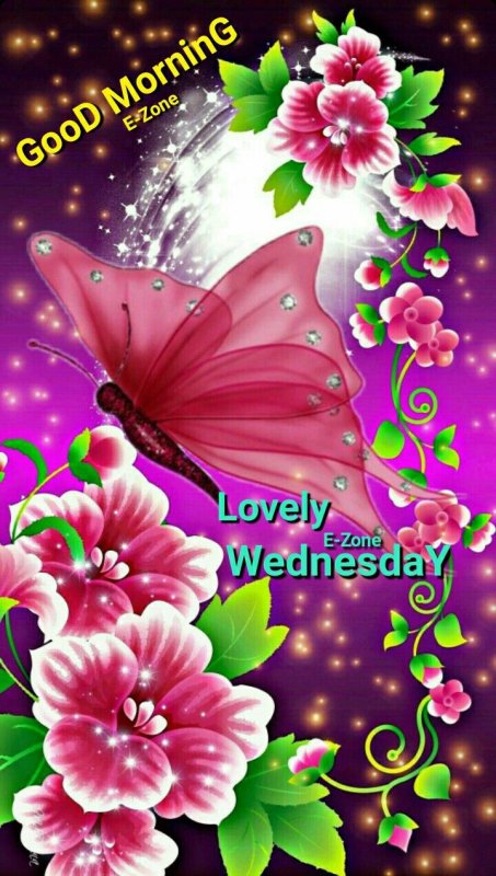 Заставка на телефон бабочки