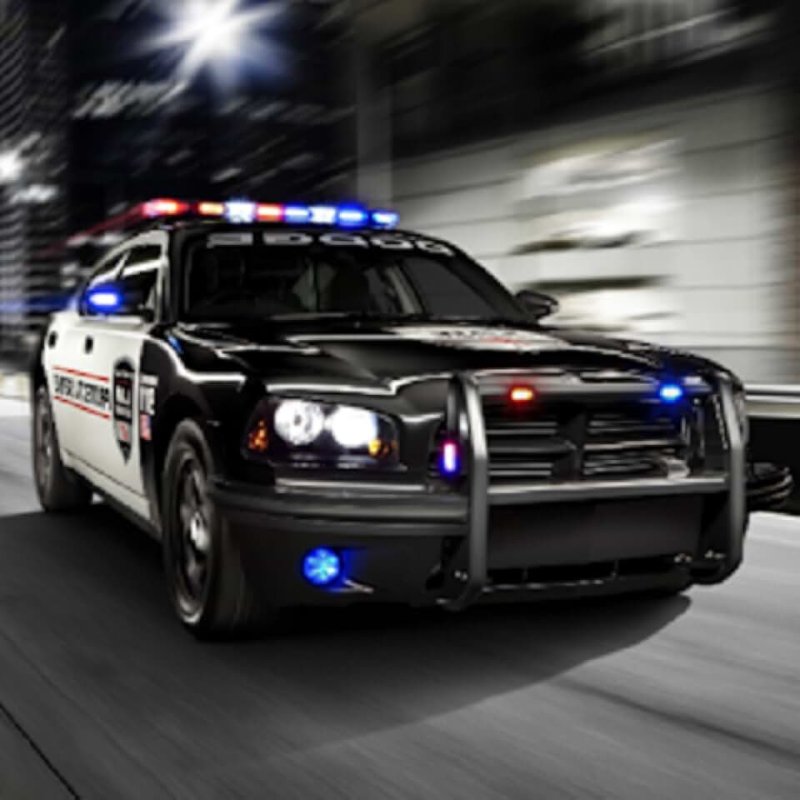 Dodge Charger Pursuit
