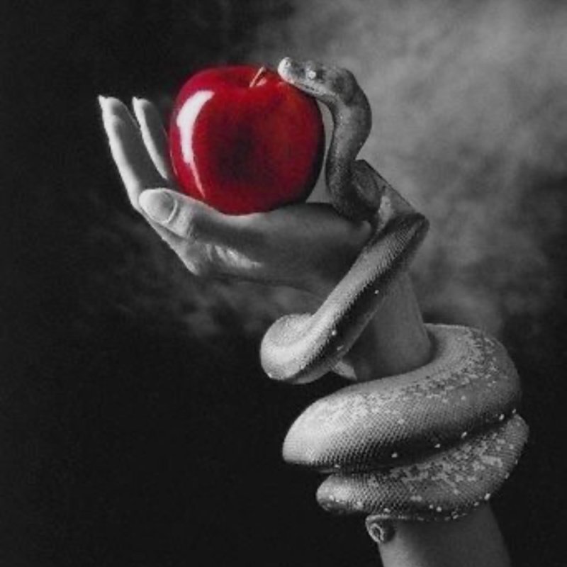 Красивые необычные картинки на аватарку