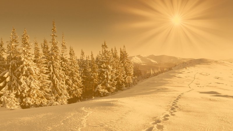 Яркое солнце зимой