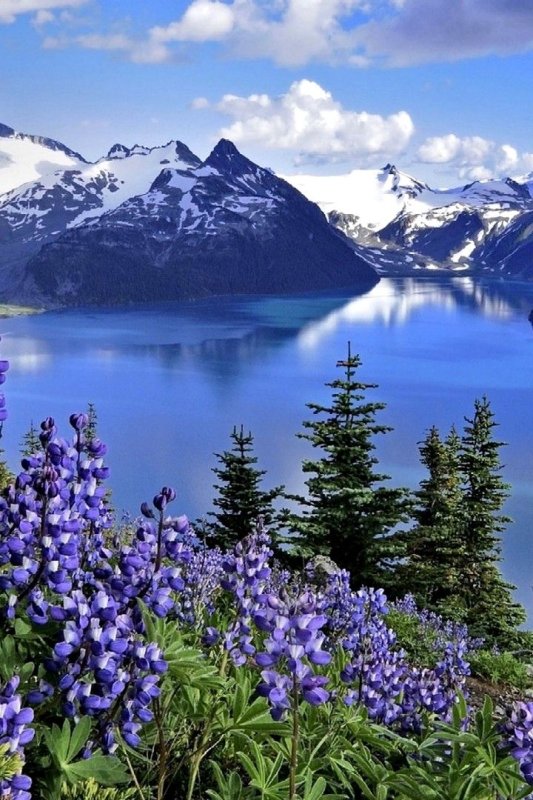 Весенняя природа