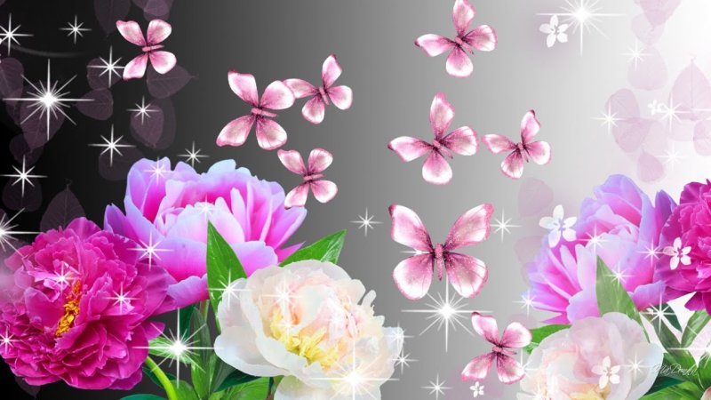 Обложка цветы