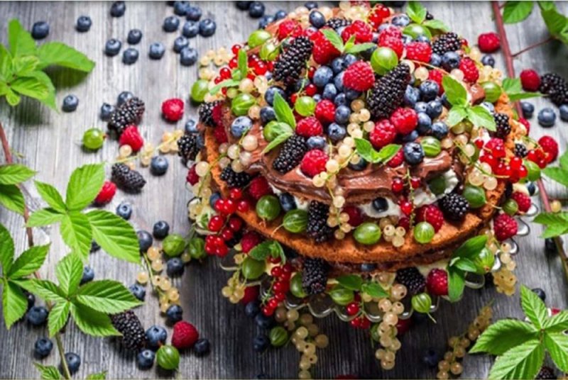 Красивые ягоды