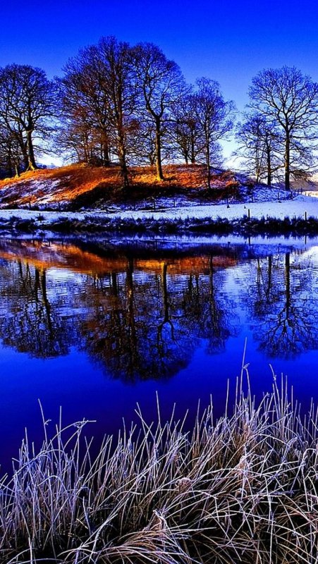 Красивая природа