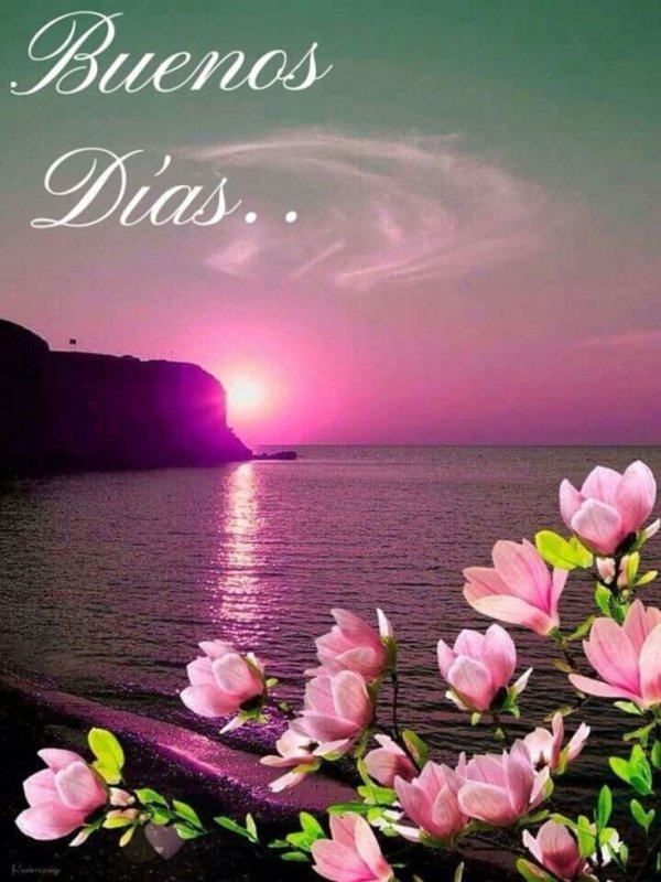 Открытка море цветов