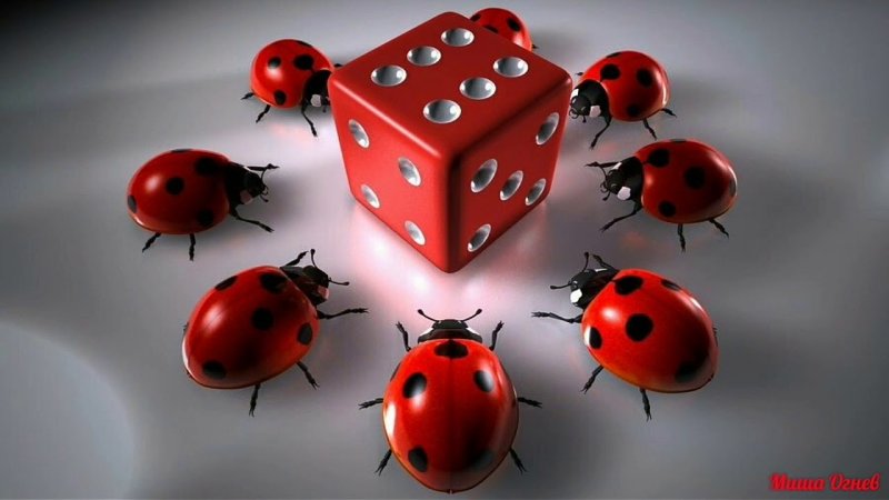 Картинки на рабочий стол Божьи коровки
