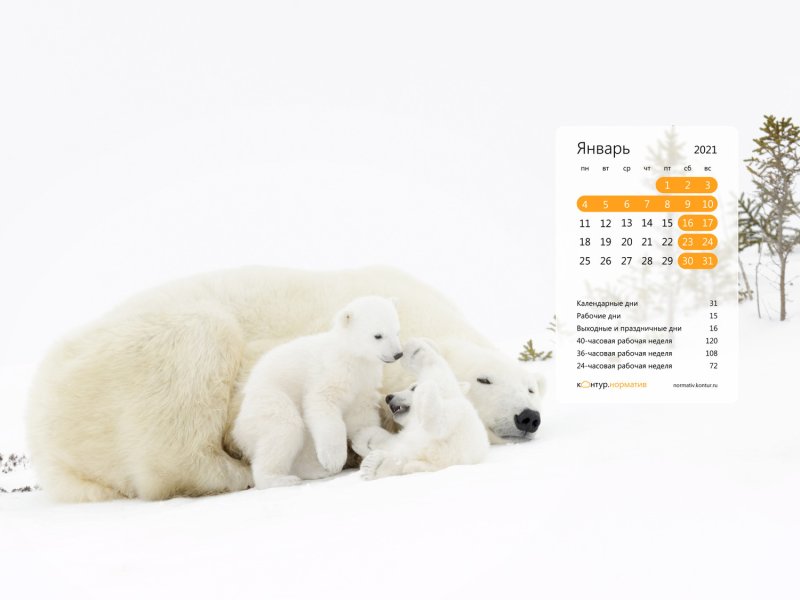 Контур норматив календарь на рабочий стол