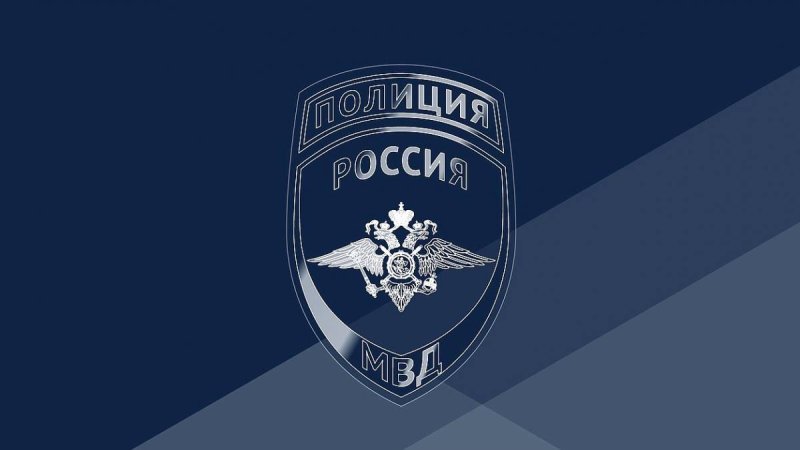 Полиция России