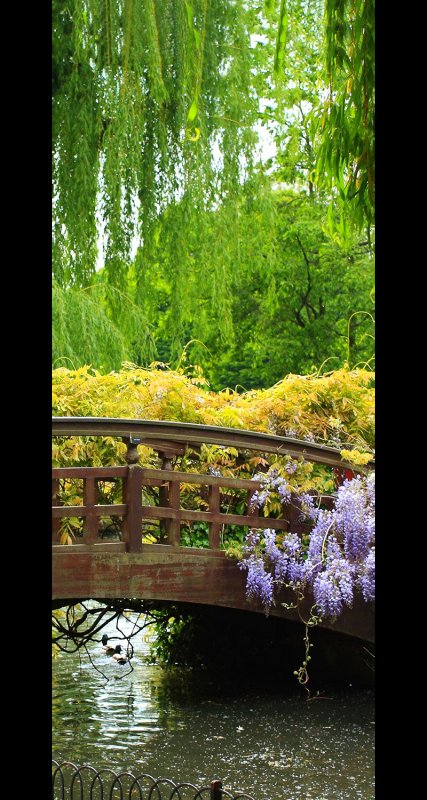 Красивый парк