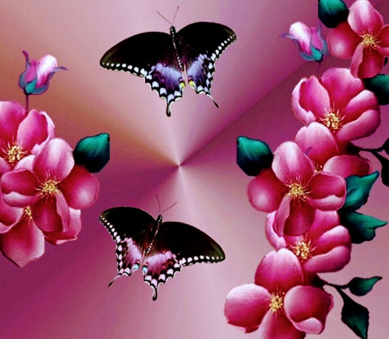Обои с бабочками