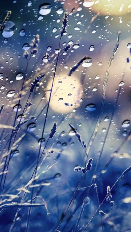 Капли дождя