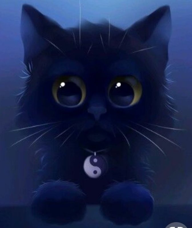 Кошка на аву