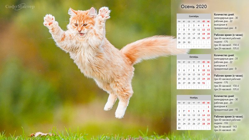 Заставка на рабочий стол календарь 2024