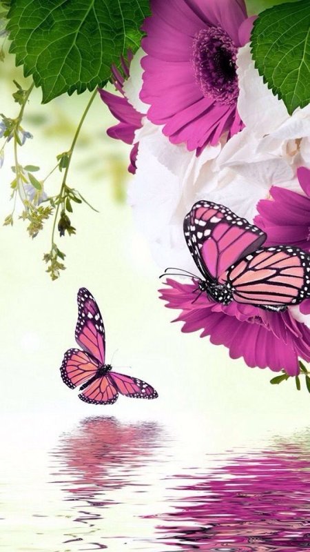 Яркие цветы и бабочки