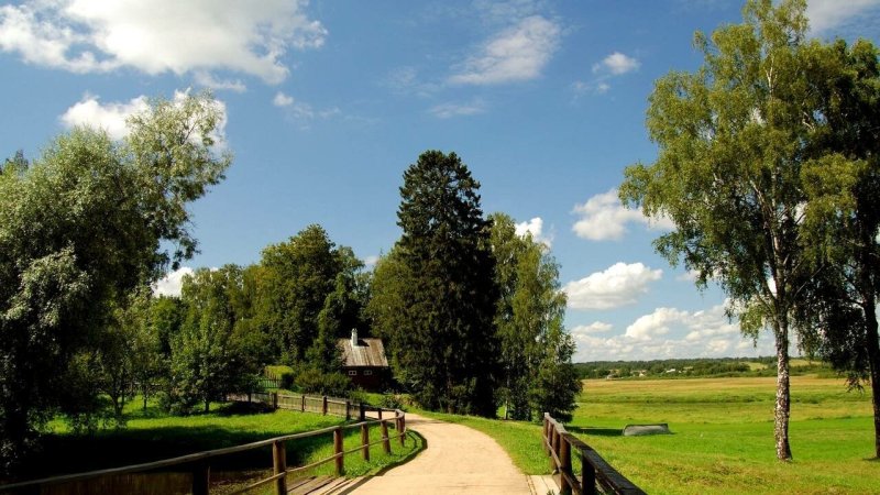 Деревня Колюпаново природа