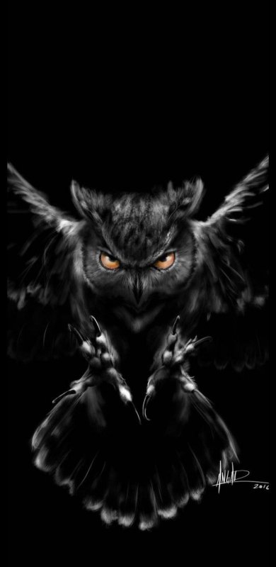 Чёрная Сова