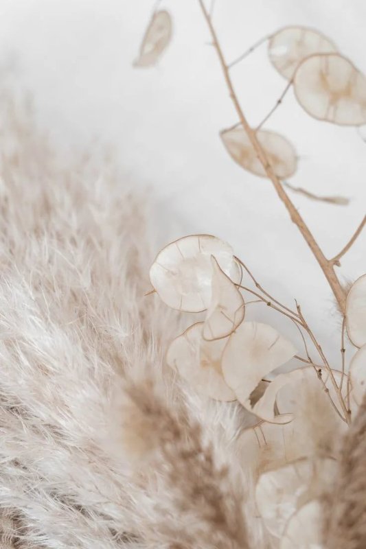 Фотофон в пастельных тонах