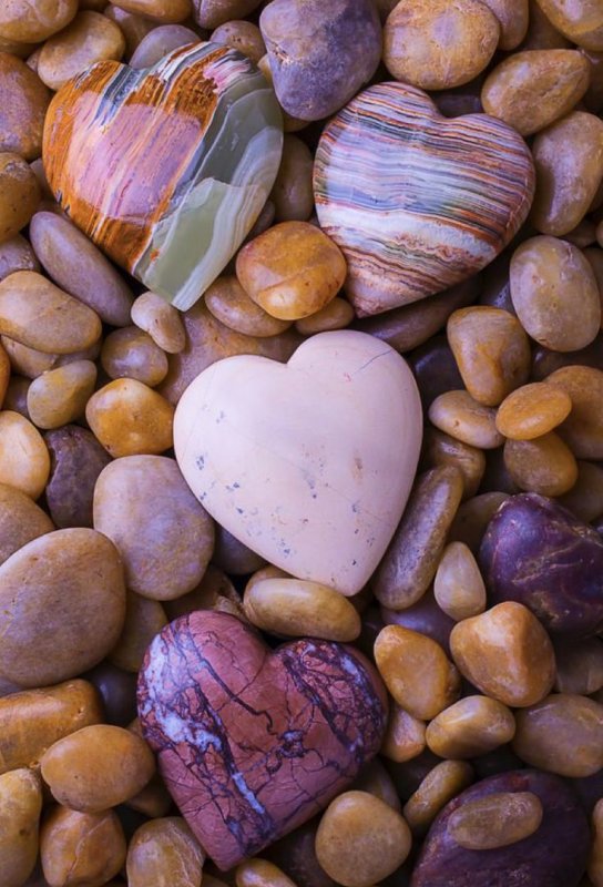 Красивые морские камушки