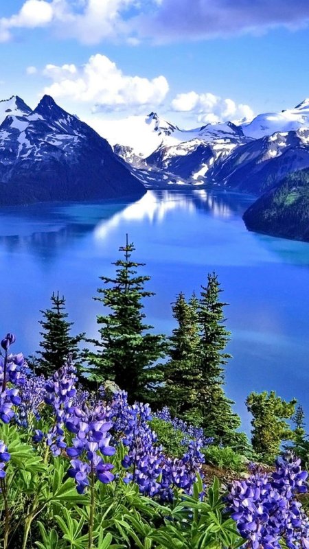 Красота природы