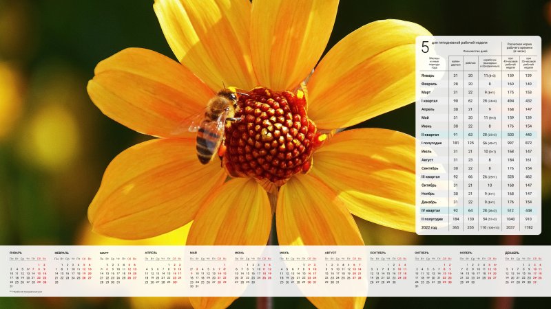 Фотообои с производственным календарем