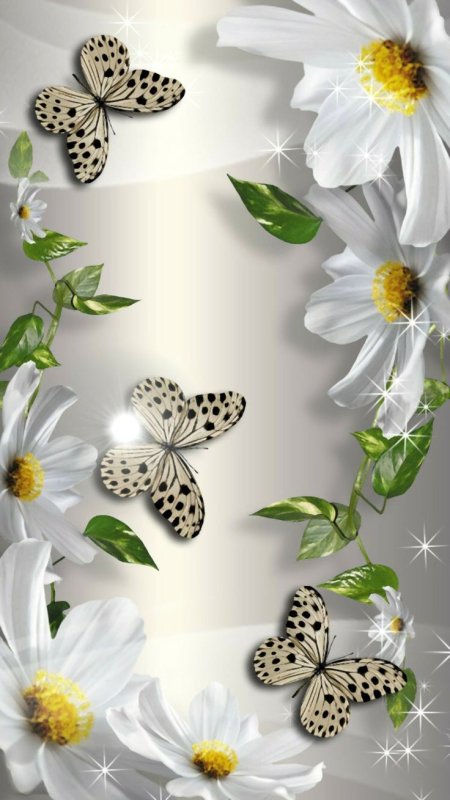 Заставка бабочки