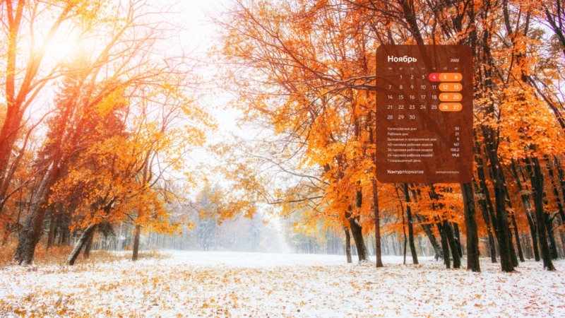 Обои контур норматив 2024