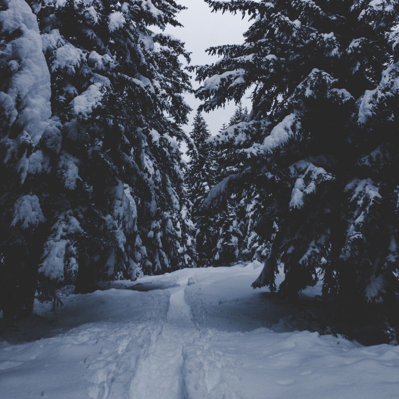 Зимняя Эстетика