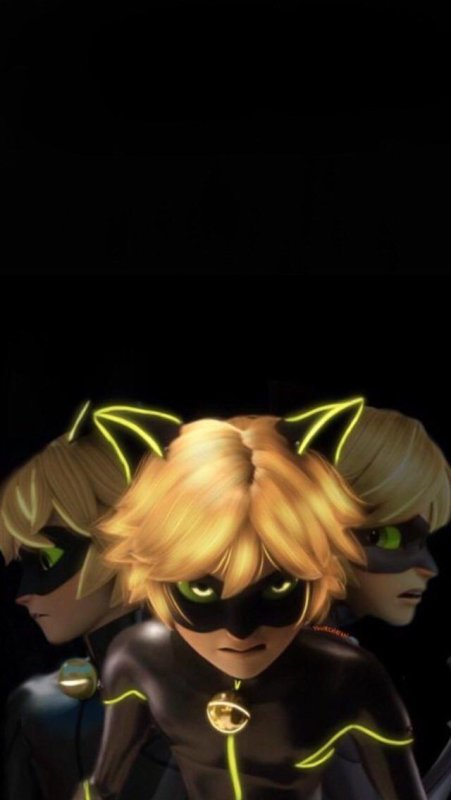 Леди баг и кот Нуар