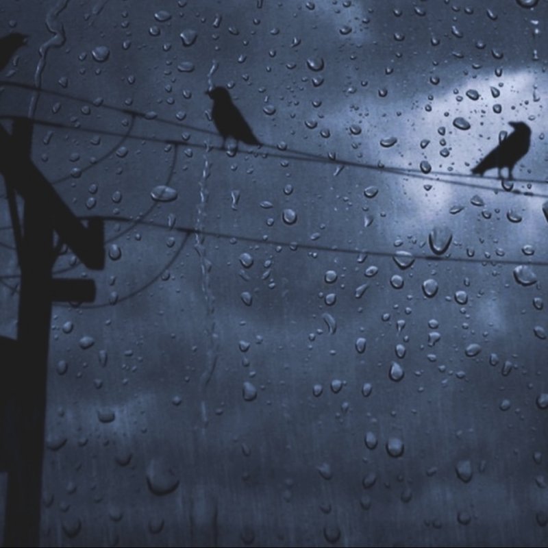 Дождь на стекле