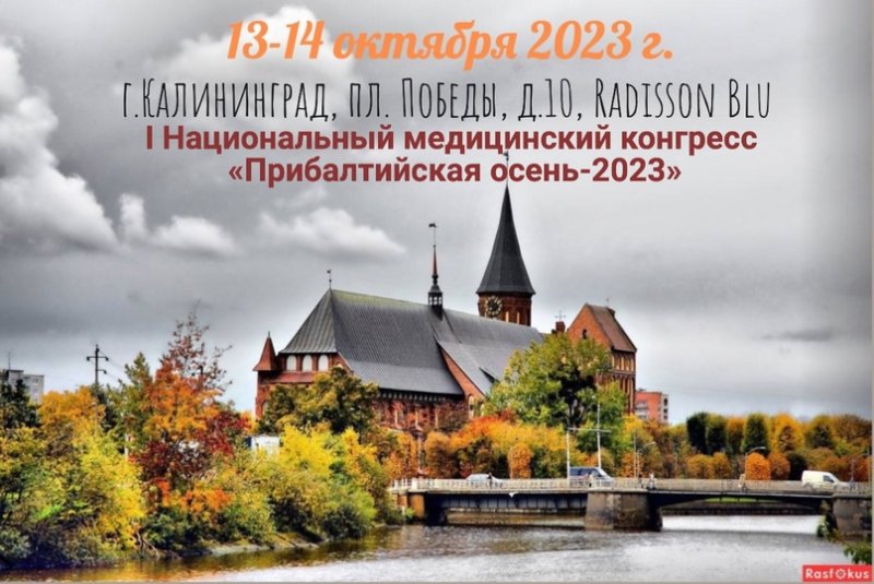 Кафедральный собор Калининград осень