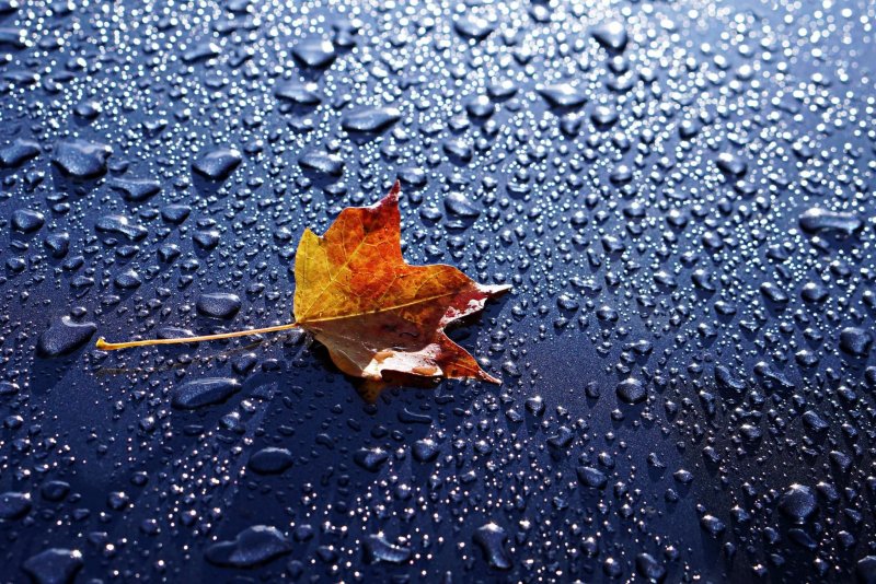 Заставка на рабочий стол дождь