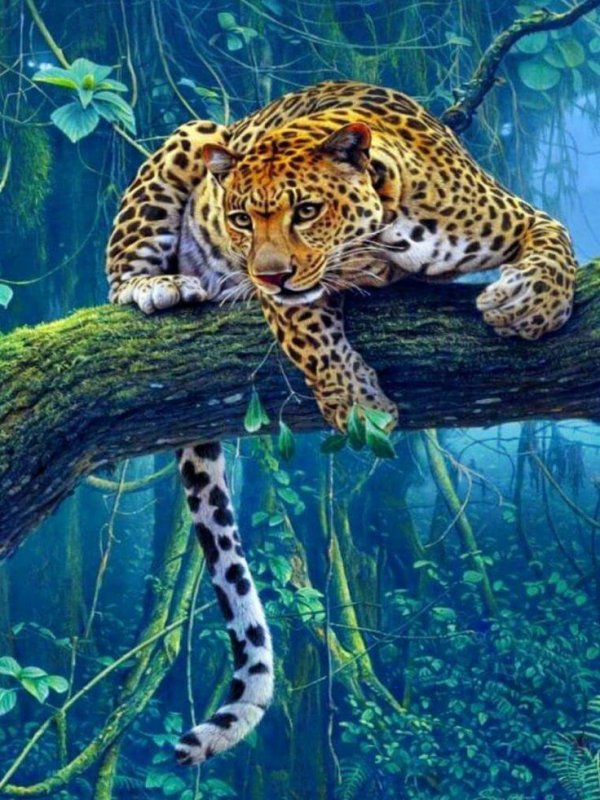 Леопард картина