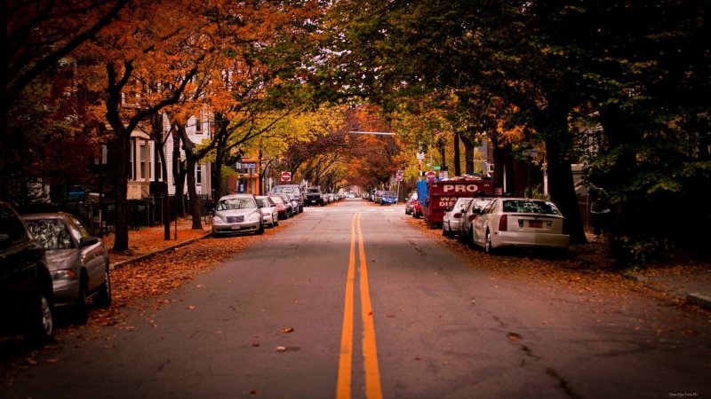 Осенний Нью-Йорк Бруклин