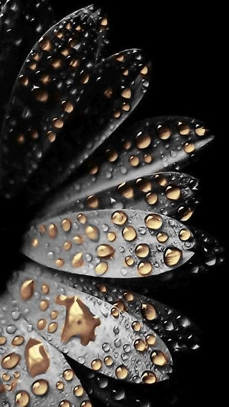 Необычные обои на телефон