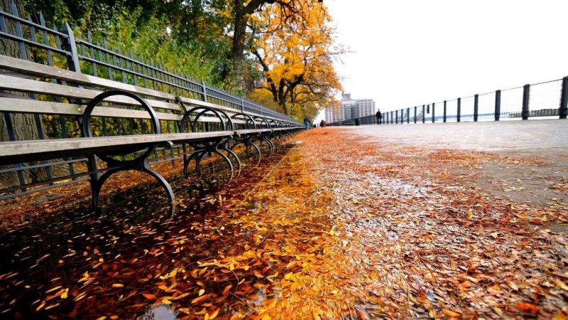 Осенняя улица