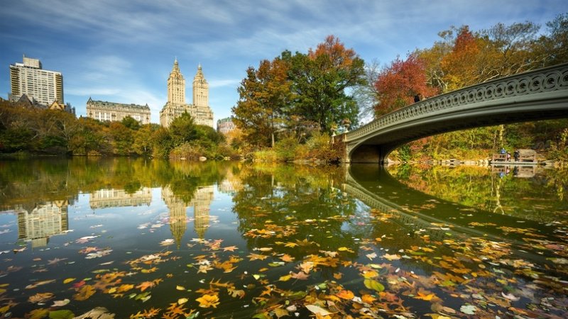 Парк Нью-Йорка 1920