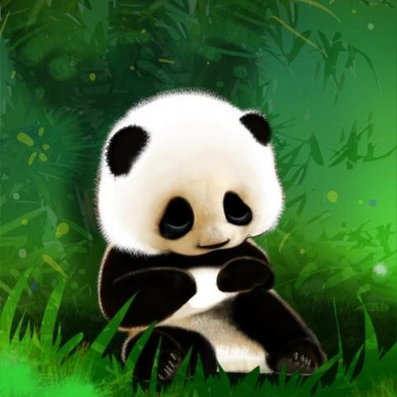 Панда иллюстрация