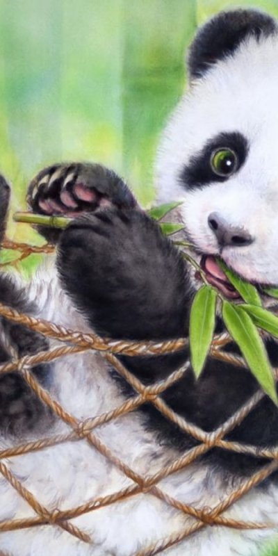 Милые животные