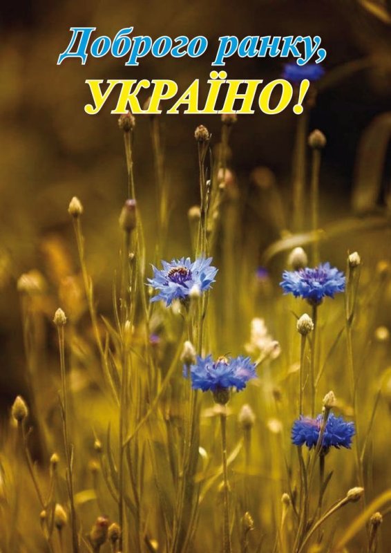 Васильки Брест