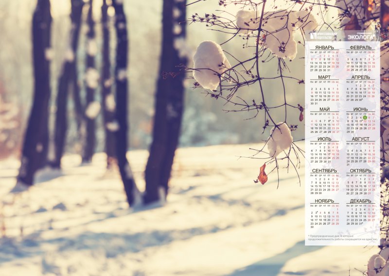Заставка на рабочий стол февраль