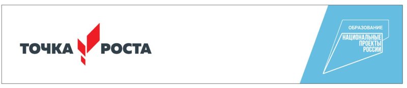 Точка роста орнамент