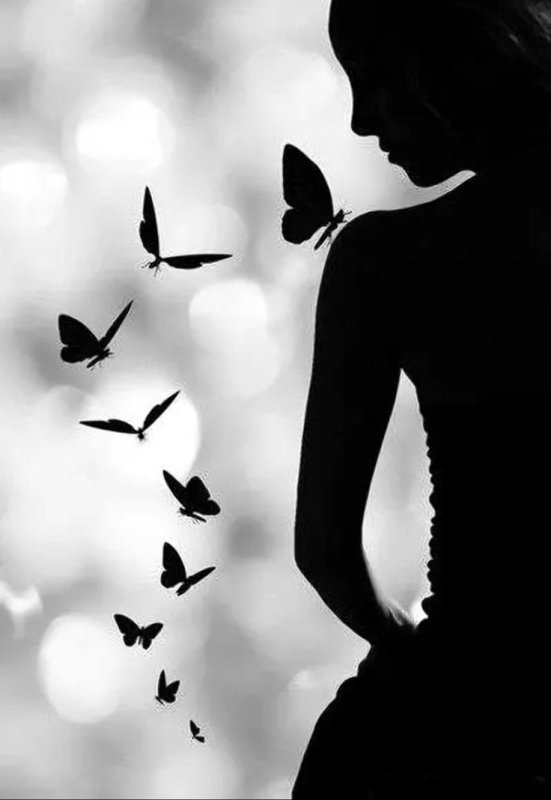 Силуэт девушки с бабочками