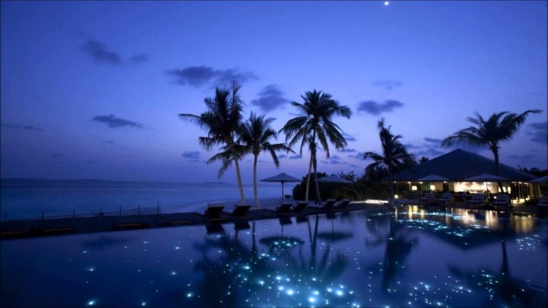 Тропическая ночь