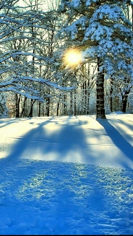 Зимняя природа