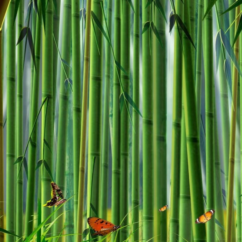 Бамбук мультяшный