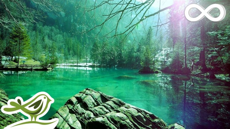 Спокойная природа