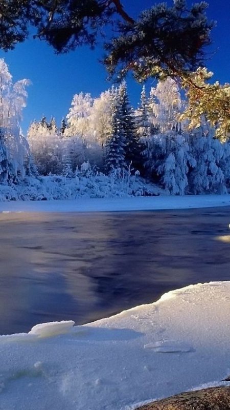 Красивая зима